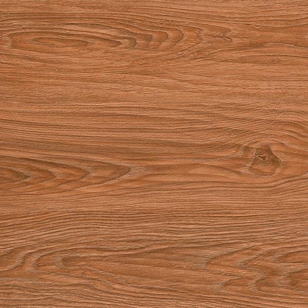 Star-asc-5606-01 Copy