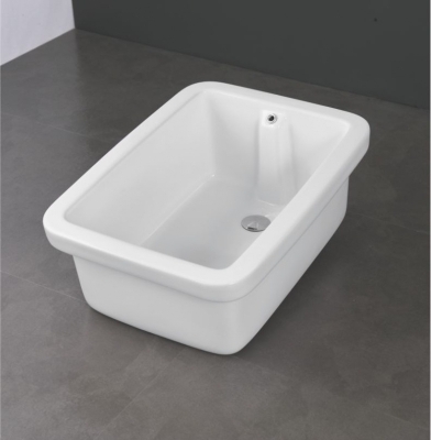 Lab Sink-5017