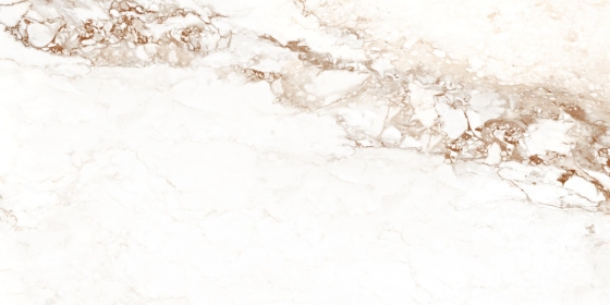 CARRARA BORGHINI_1