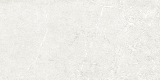 1006 R1