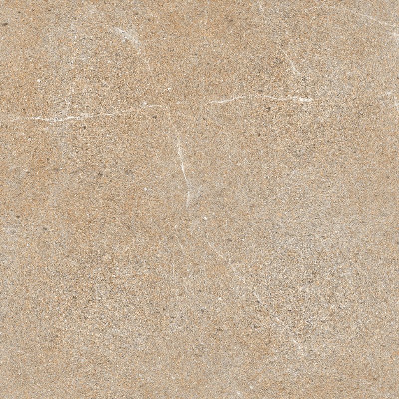 2171 (1305) R1